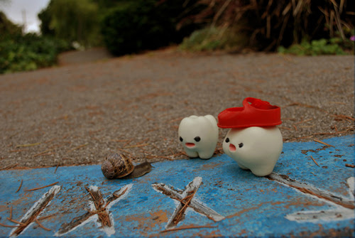 "Snail? It's you again!"