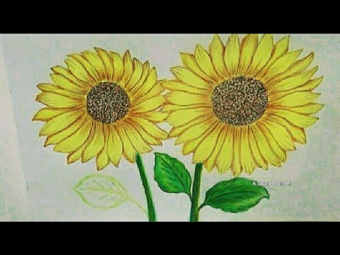خطوات رسم ورد تباع عباد دوار الشمس بساق