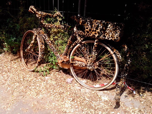 Bicicletta leopardata by Ylbert Durishti
