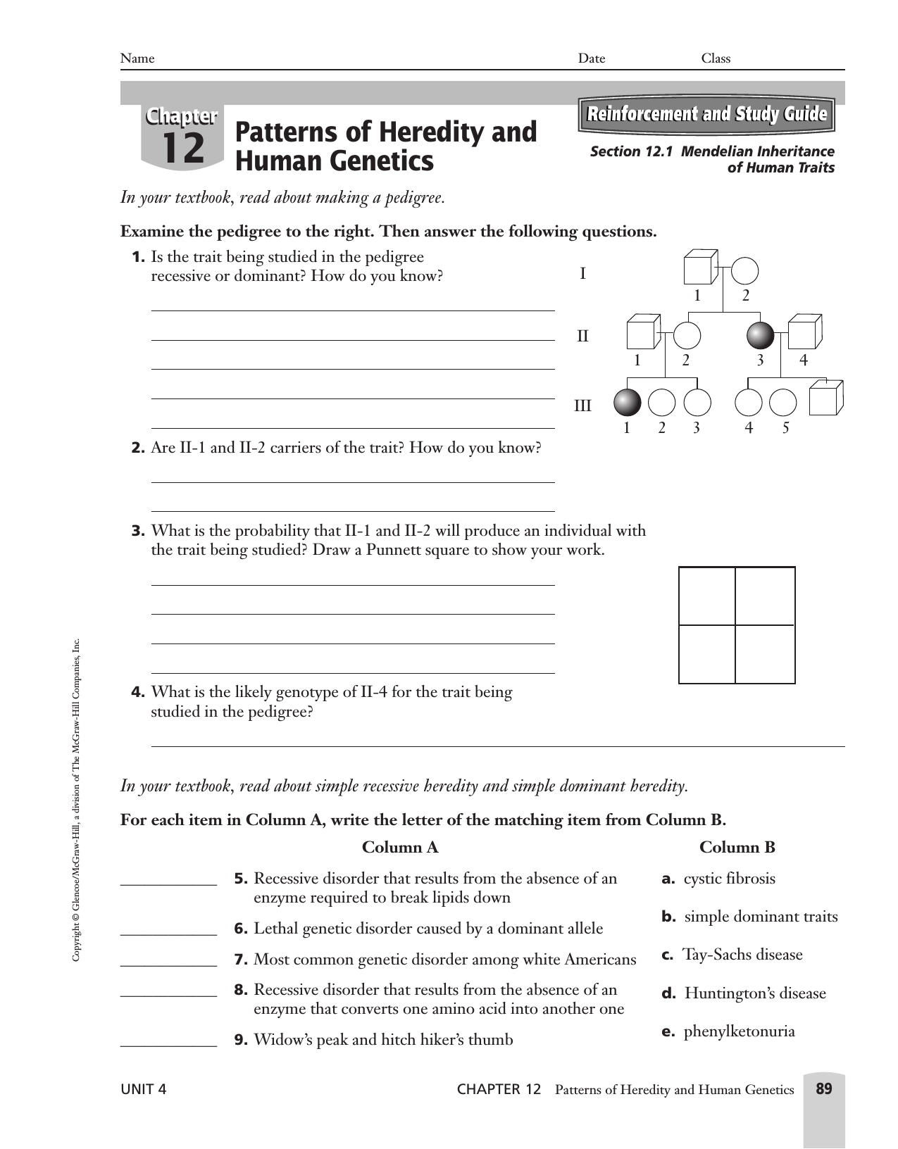 30 Chapter 12 Patterns Of Heredity And Human Genetics ...