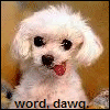 myspace layouts, myspace codes, glitter graphics
