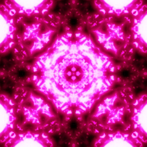 すべての花の画像 50 マゼンダ ピンク 待ち受け