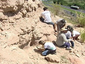 Professores e alunos escavam em busca de novidades (Foto: Foto: Reprodução/TV Integração)