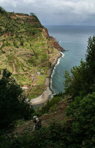 20060225-vs-8445