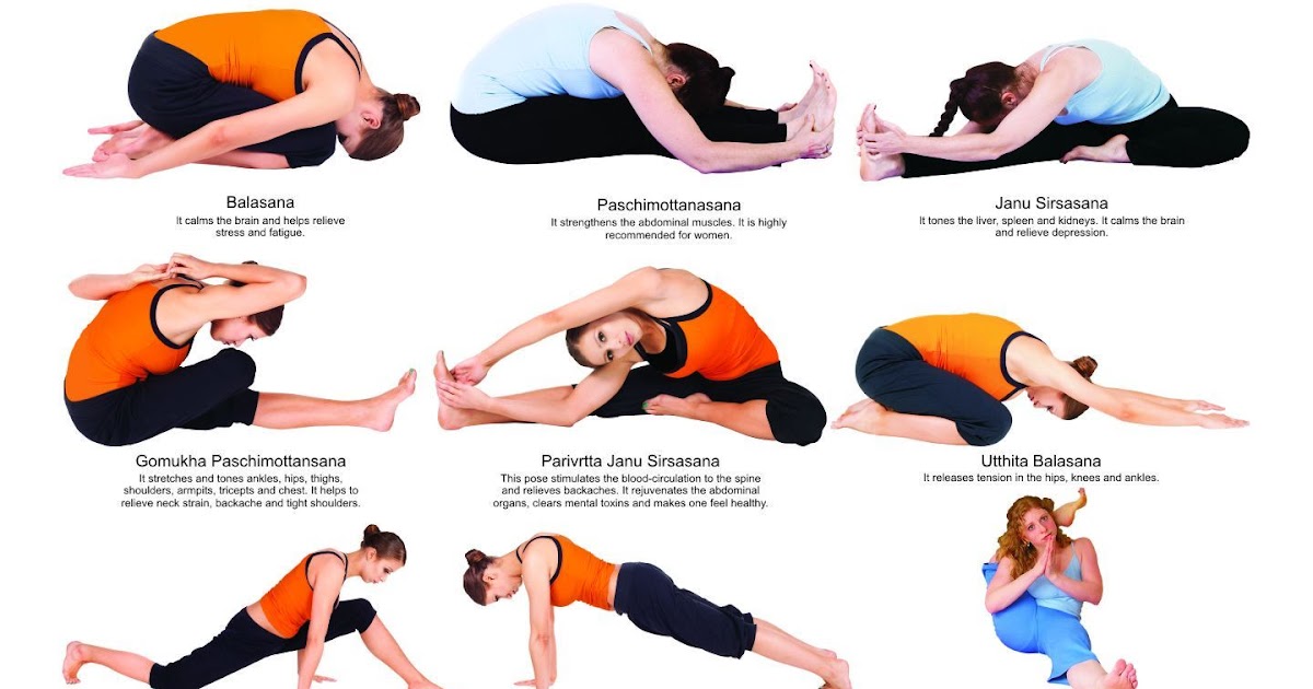 Yoga Poses For Beginners Ppt