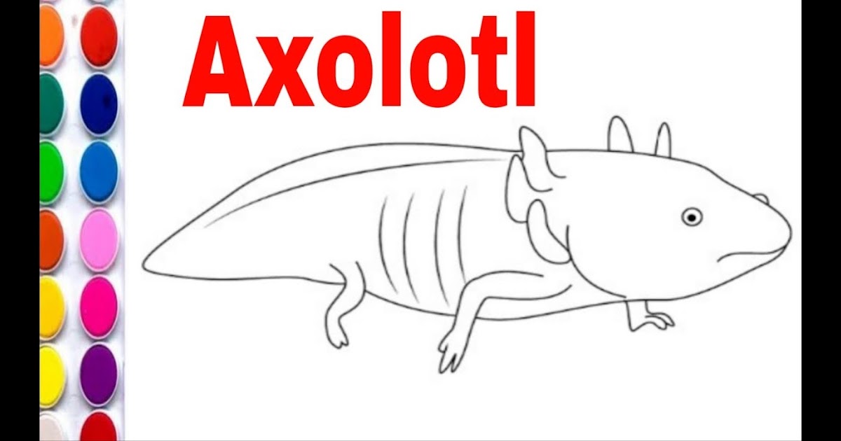 Axolotl Minecraft Drawing Easy / I Decided To Make An Axolotl Coloring