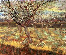 Albaricoqueros en el flor, Vincent van Gogh