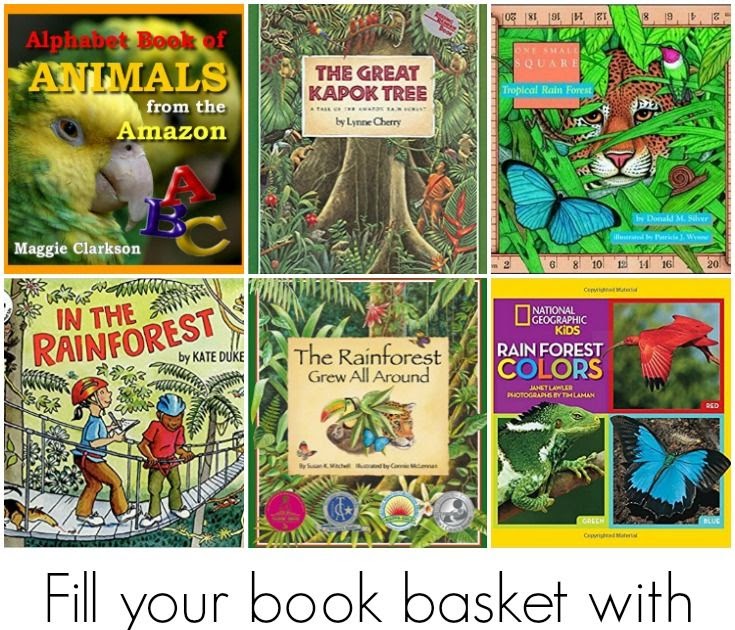 Rainforest Animals Description - RAINFOREST ANIMAL