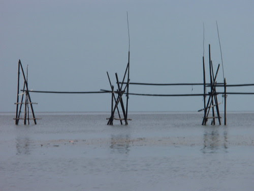 Fishing traps near Bako