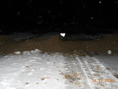 Picture 1058
