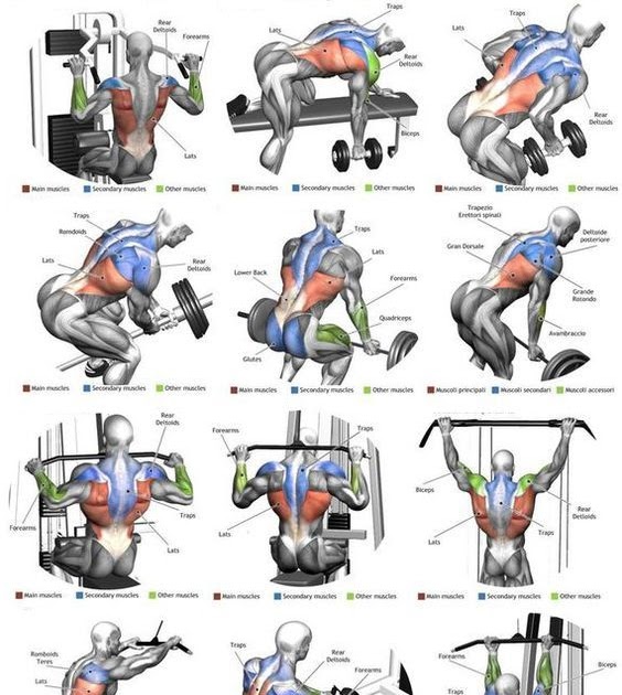 Best Workout anatomy chart for Fat Body