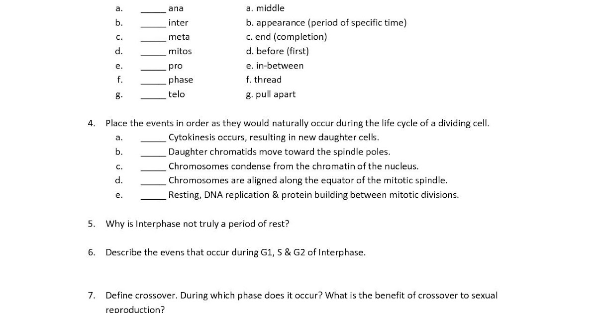 taxation-icivics-worksheet-answers