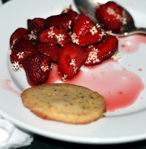 Elderflower Berries