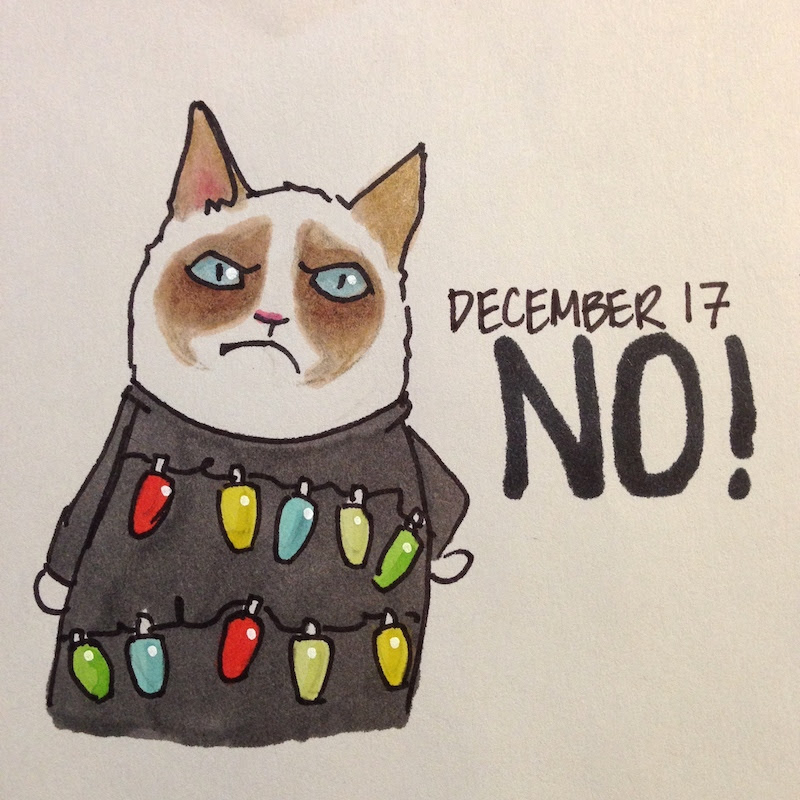 Grumpy Cat in Holiday Sweater, Christmas lights