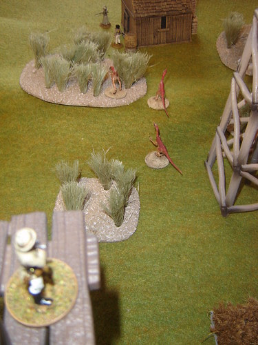 Lookout takes aim on Raptors