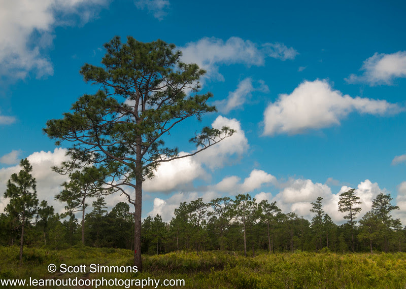 Photo & Video Sharing by SmugMug Photo & Video Sharing by SmugMug