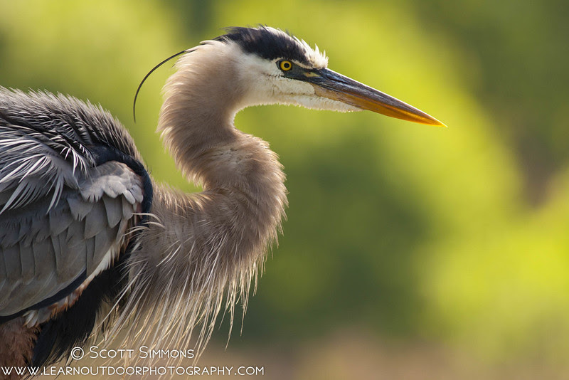 Photo & Video Sharing by SmugMug Photo & Video Sharing by SmugMug