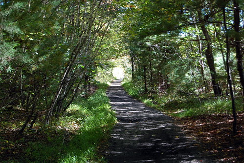 SNETT_TrailView