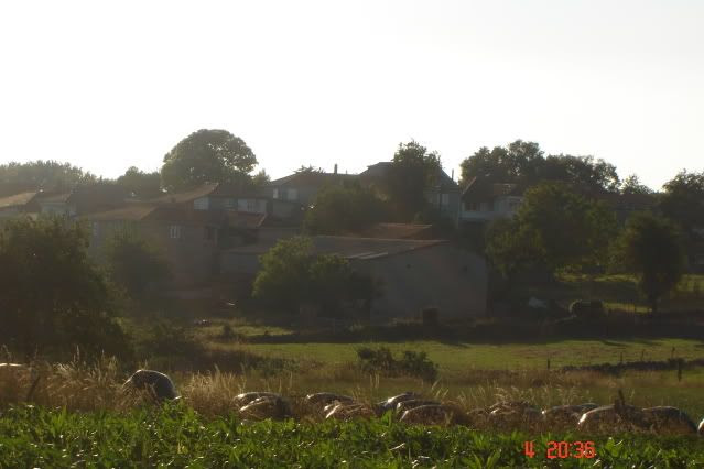 louredo