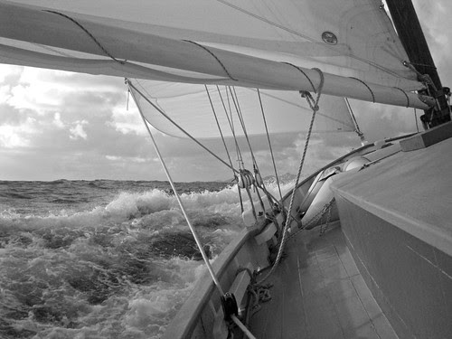 DSC02643smBW
