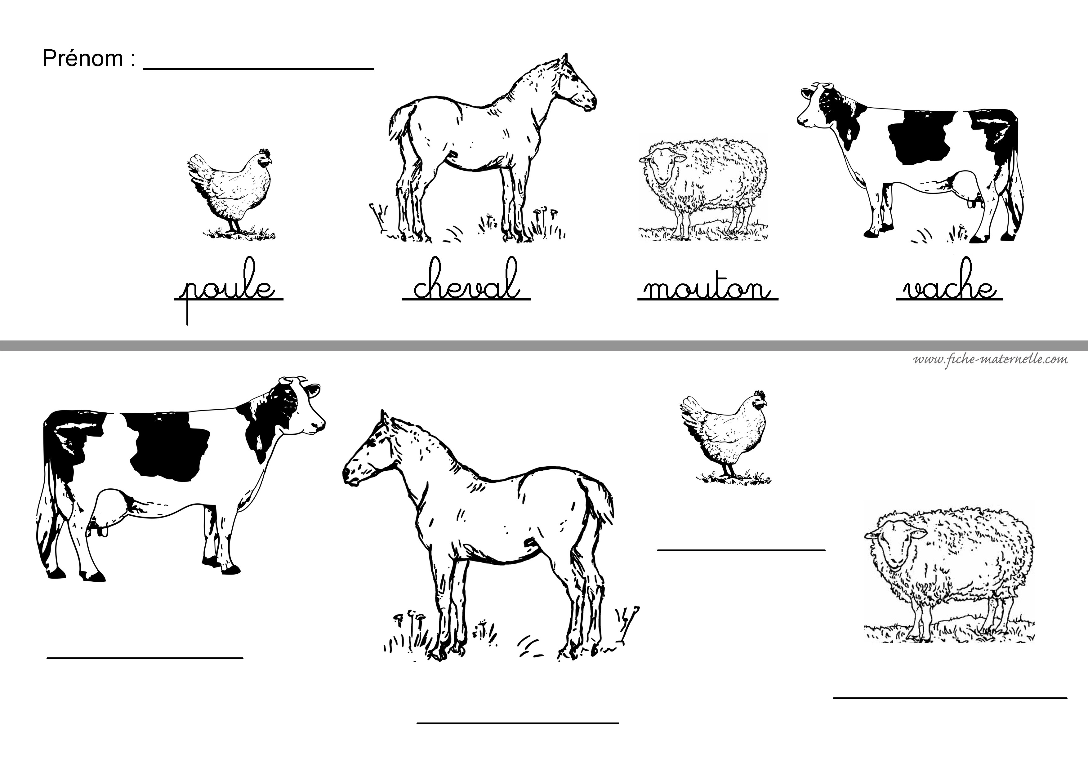 Coloriage Animaux De La Ferme Maternelle  Des Milliers de Coloriage