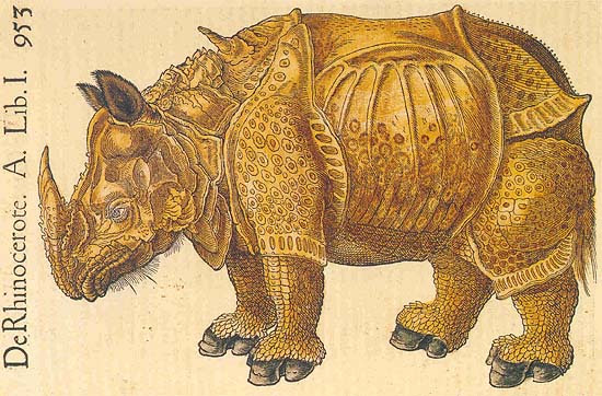 The rhinoceros of Dürer in the Historia animalium of Conrad Gessner, 1551