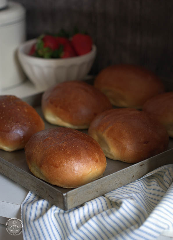 Pane E Olio Roma 2017 shosekah