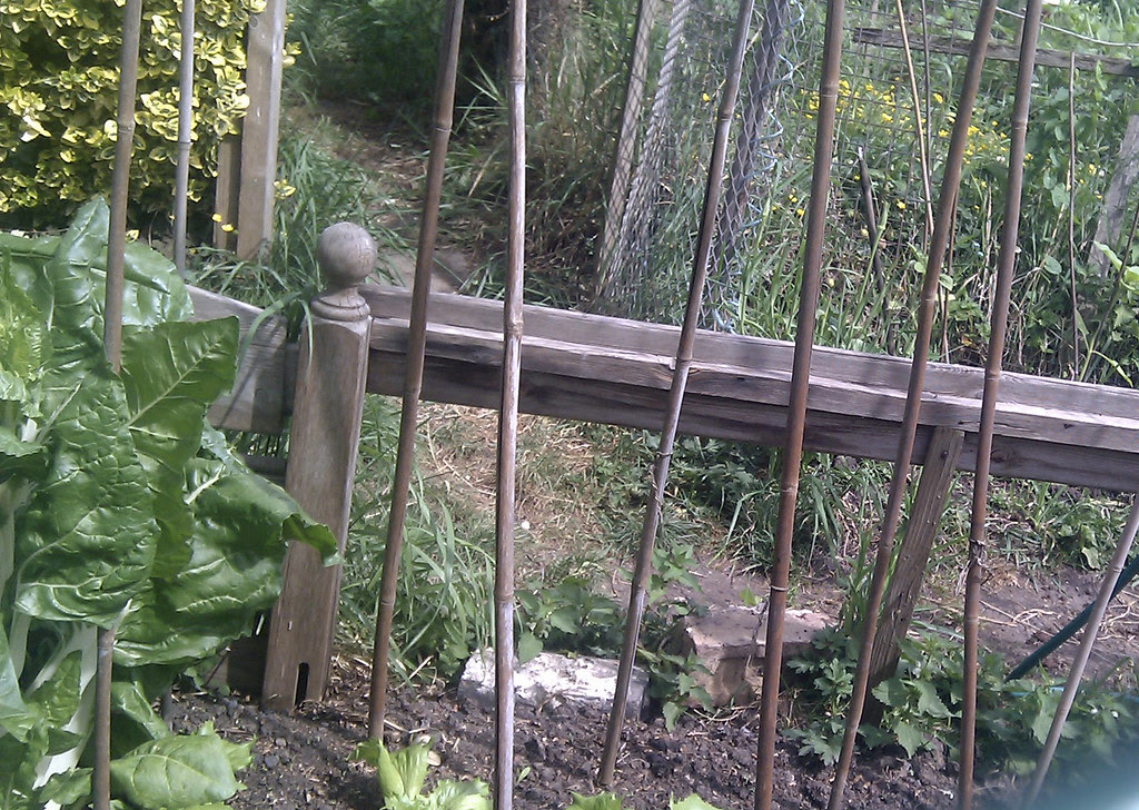 Raised bed