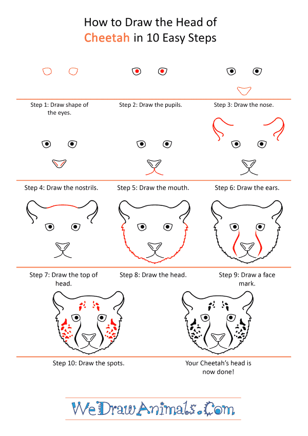 Simple Cheetah Drawing Face - kereen-blogreactions