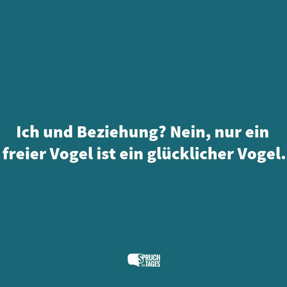 Sprüche Zum Nachdenken In Einer Beziehung sprüche und zitaten