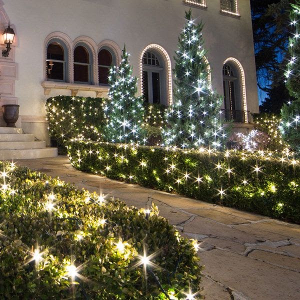 how to put christmas lights on outdoor bushes