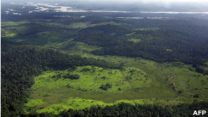Foto de arquivo da Amazônia brasileira