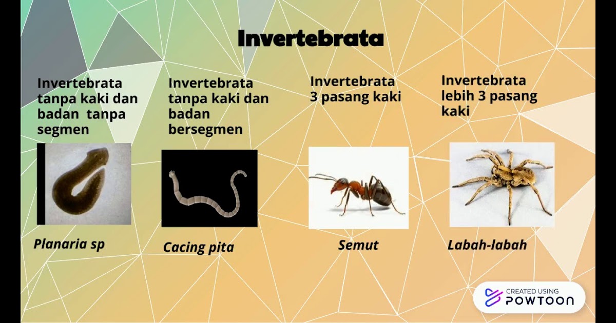Sains Tingkatan 2 Biodiversiti  VIDEO  SAINS TINGKATAN 2