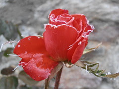 PC240655