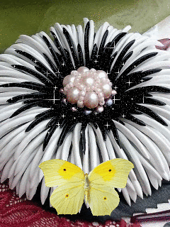 Чёрно-белый цветок