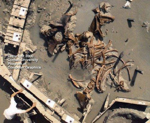 Fotos mostram claramente a evidência da existência de gigantes na Terra (6)