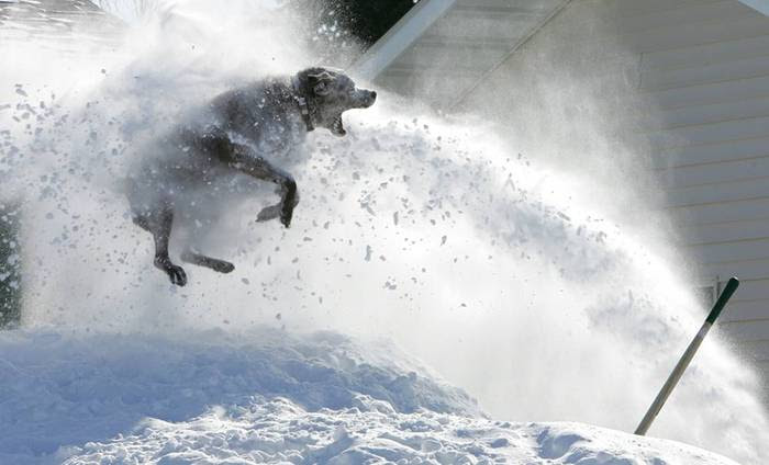 26_01_2010_0504607001264521531_msnbc (700x424, 32Kb)