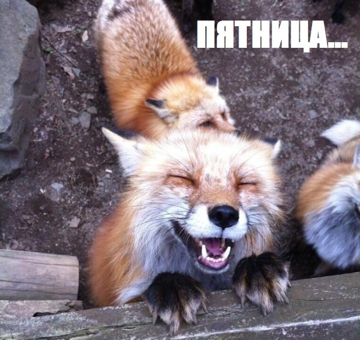 Funny Pictures (128 photos) Funny Pictures (128 photos)