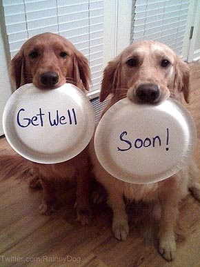 Feel Better Soon Meme ~ blue-pixel-design