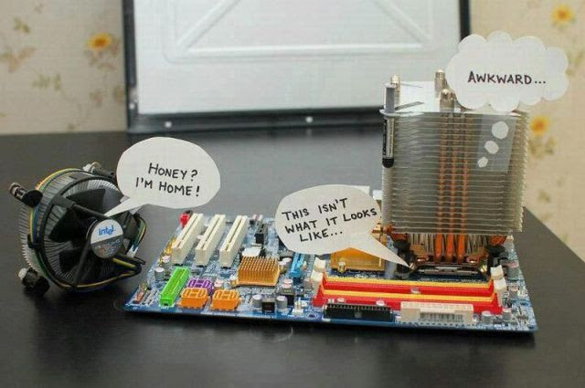Daily Picdump Daily Picdump