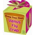 Grow Your Own Venus Fly Trap
