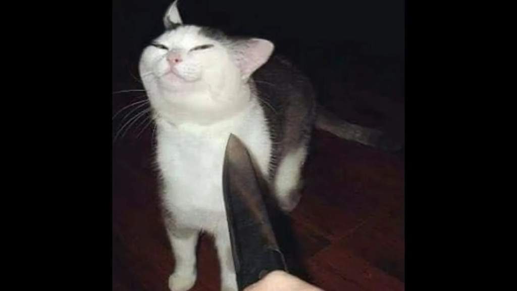 1080X1080 Cursed Images - Cursed by msriotte on DeviantArt
