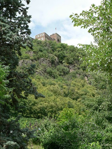 Boymont