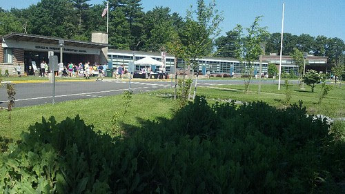 Parmenter 5K: in the shade