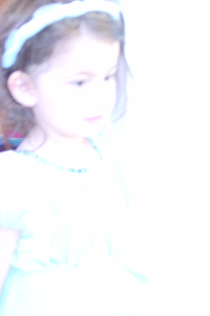 DSC03578_dreamy