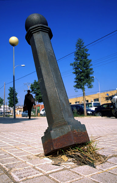 Naturaleza Urbana