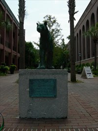 college of charleston mascot