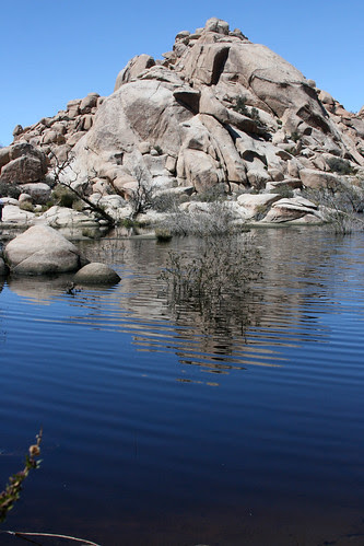 desert lake