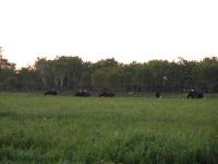 Free Image Hosting at www.ImageShack.us