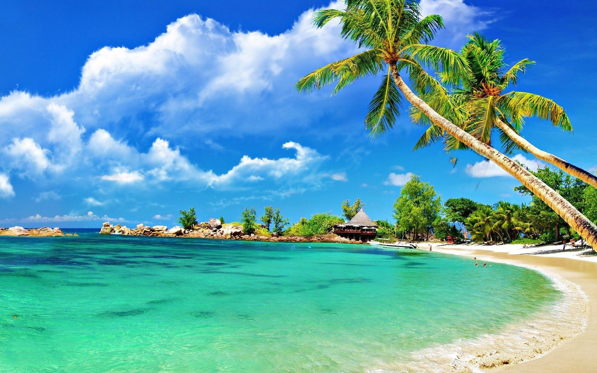 Wallpaper Pantai Cantik Dengan Pemandangan Pokok Kelapa Azhanco Wallpaper Pantai Cantik Dengan Pemandangan Pokok Kelapa Azhanco